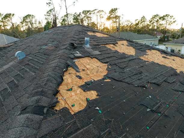 Fast & Reliable Emergency Roof Repairs in Fort Walton Beach, FL